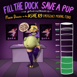 Fill the Duck - Save a Pup