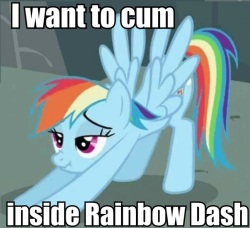 I Want To Cum Inside Ranbow Dash