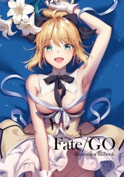 Fate/GO illustration fanbook.