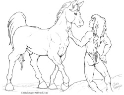 Equine Transformations